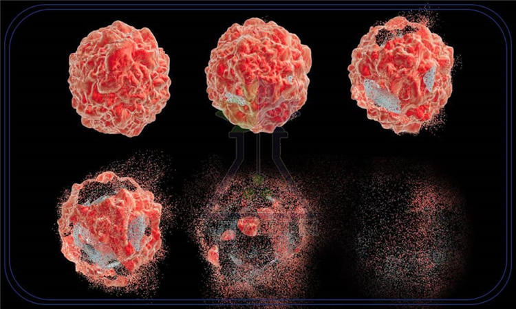 نانو ذراتی که فقط سلول‌های سرطانی را از بین می‌برند