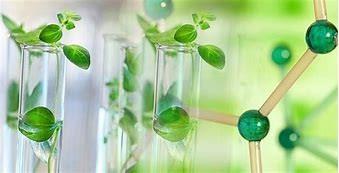 شیمی سبز چیست؟ اصول ۱۲ گانه و اهداف شیمی پایدار